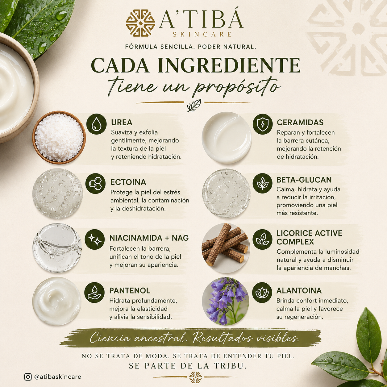 TABONUCO™ CORTEZA — Crema Corporal Avanzada / Advanced Body Cream